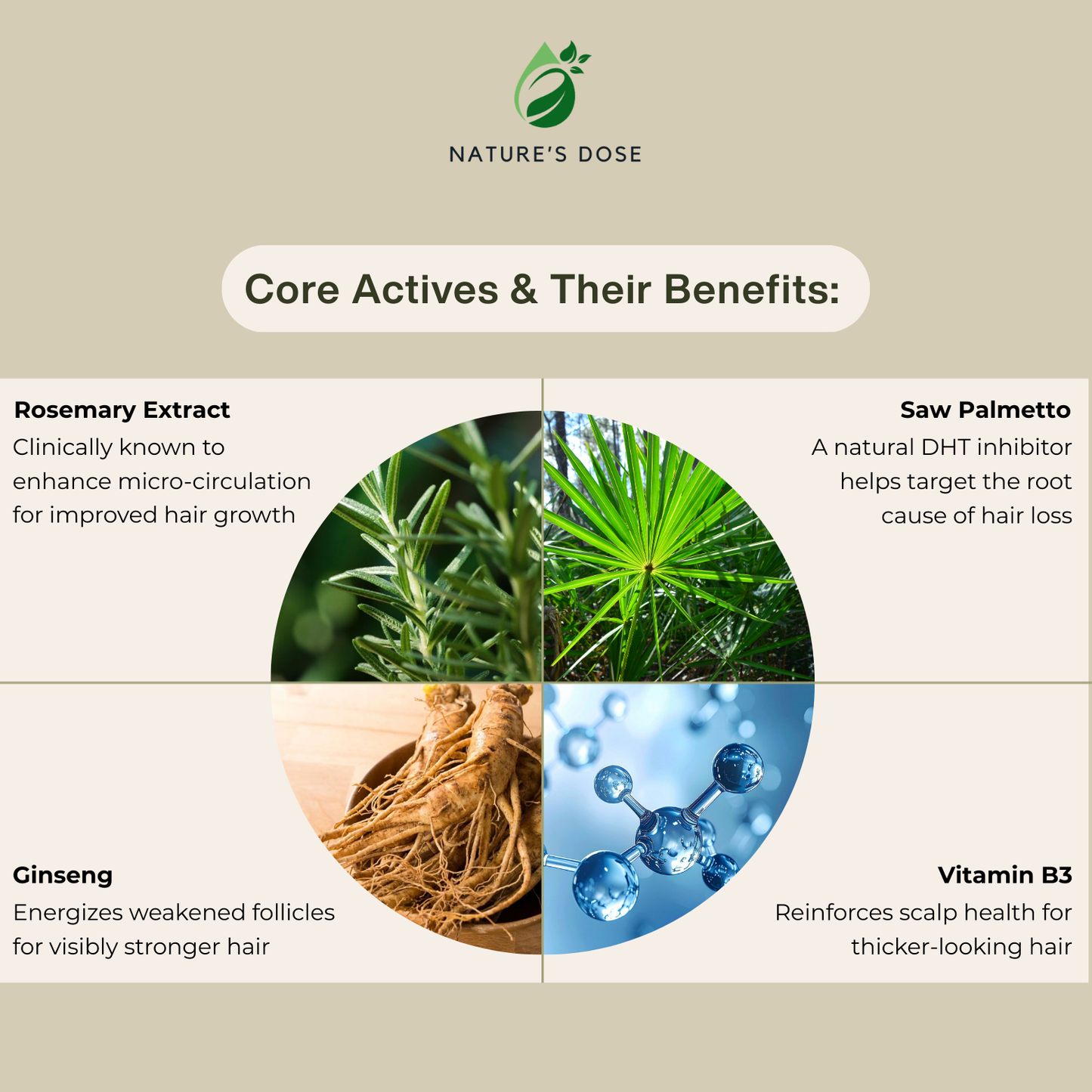 Rosemary Hair Growth Tonic – Support Scalp Health & Reduce Hair Fall