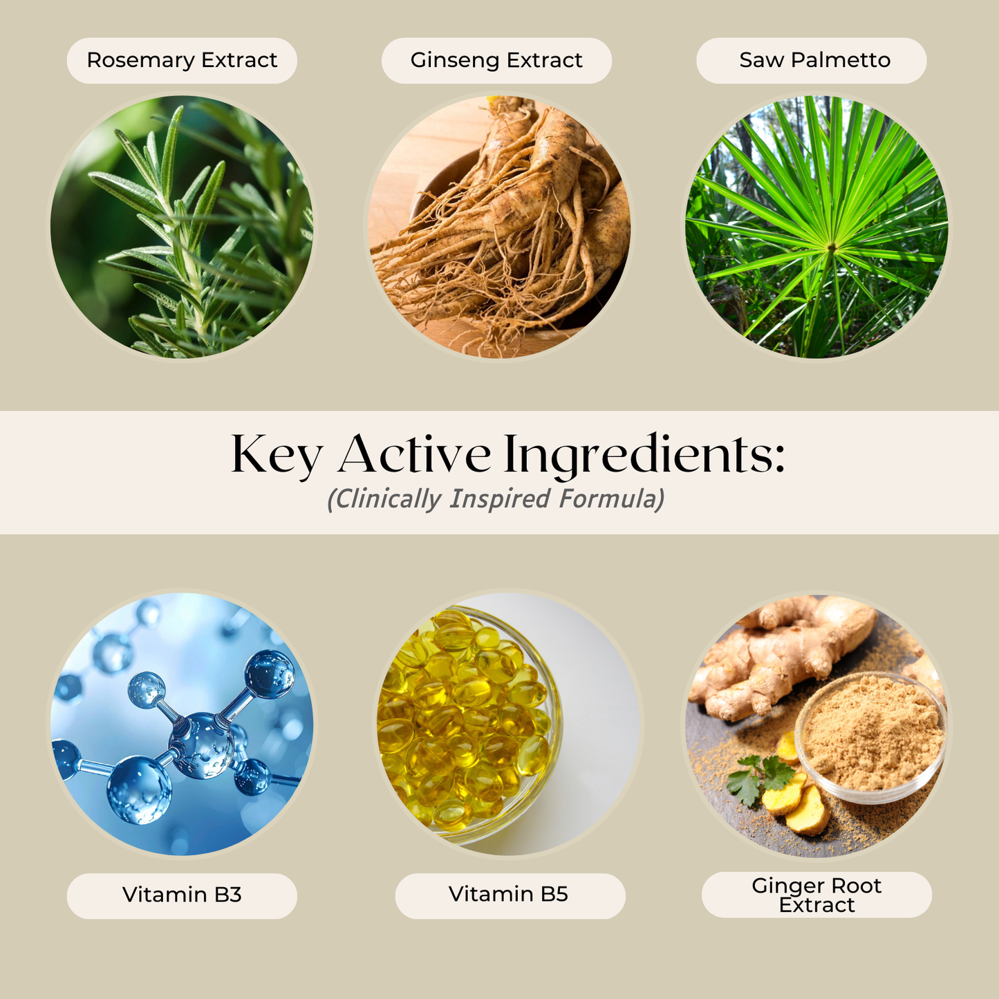 Rosemary Hair Growth Tonic – Support Scalp Health & Reduce Hair Fall